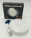 Motion Sensor LED Night Light